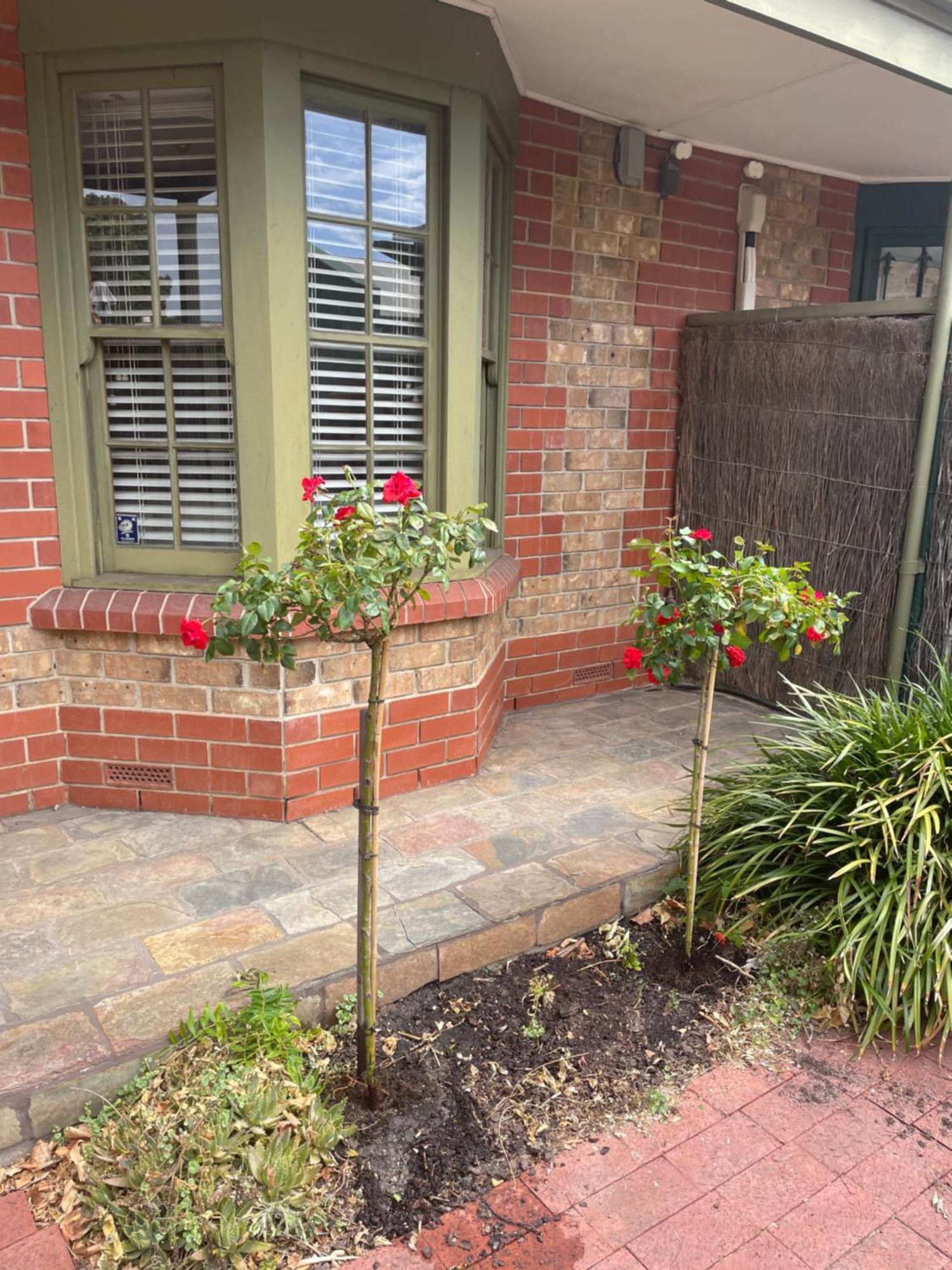Adelaide Style Accommodation-Getaway In North Adelaide- Close To City المظهر الخارجي الصورة
