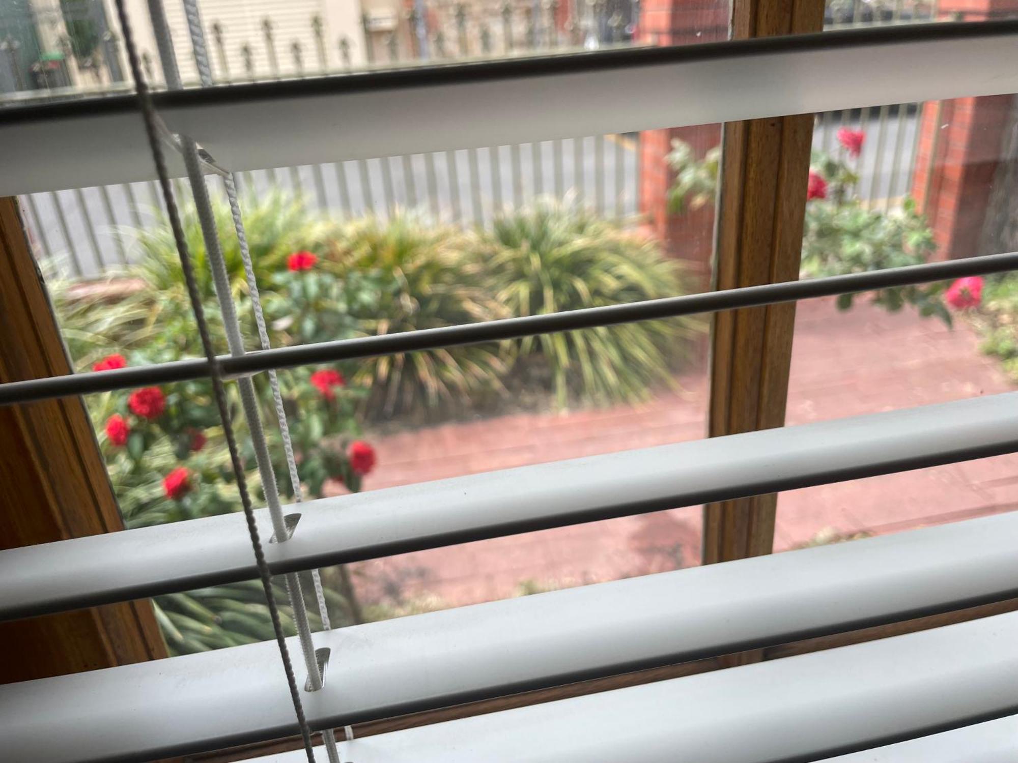 Adelaide Style Accommodation-Getaway In North Adelaide- Close To City المظهر الخارجي الصورة
