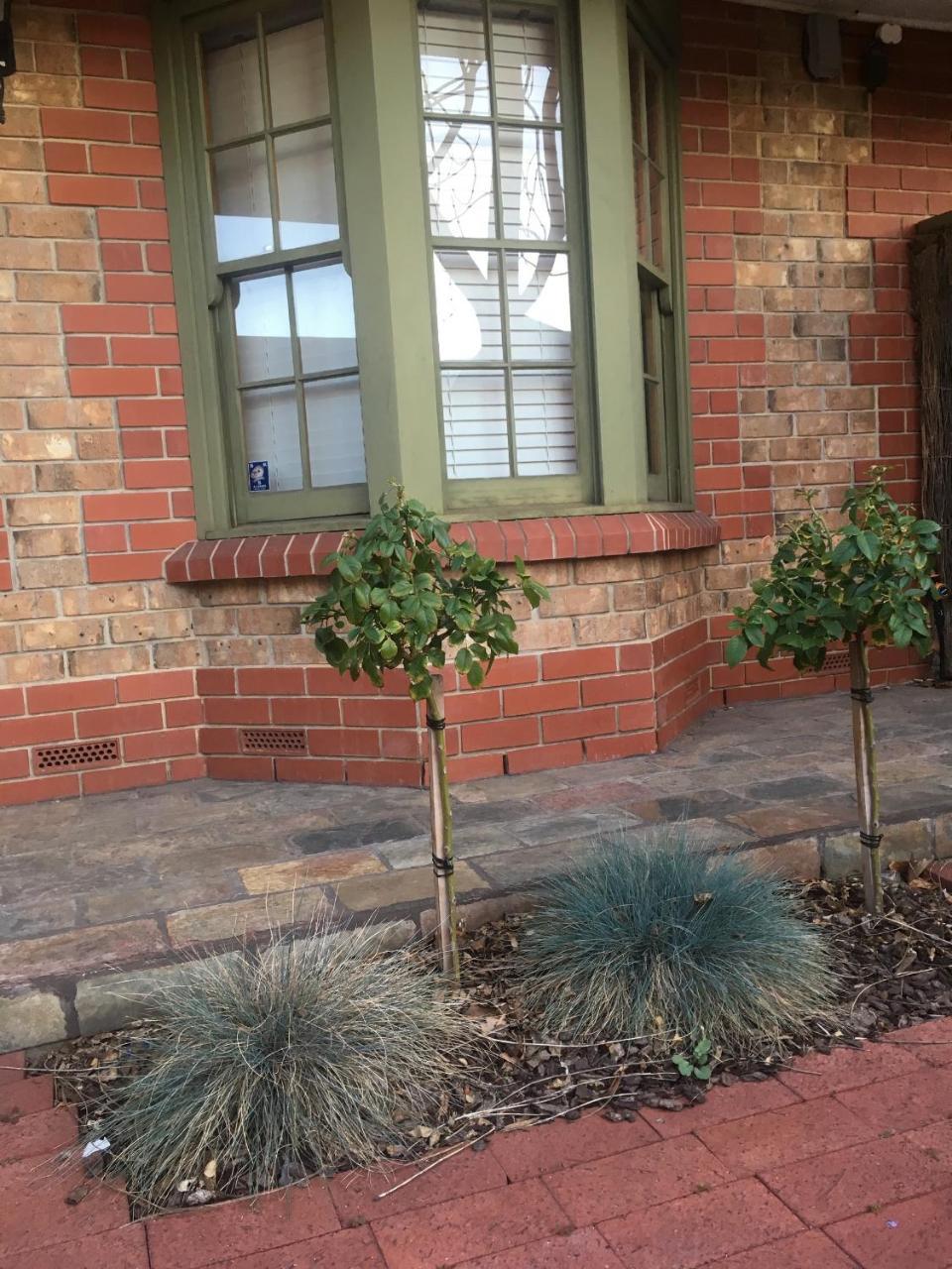 Adelaide Style Accommodation-Getaway In North Adelaide- Close To City المظهر الخارجي الصورة